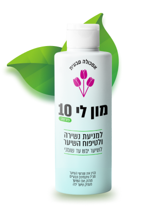 מון לי פורטה