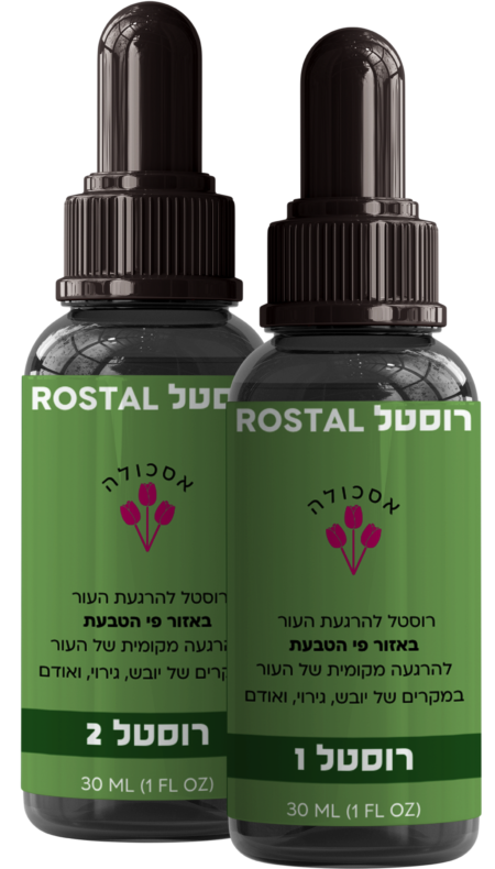 רוסטל | Rostal
